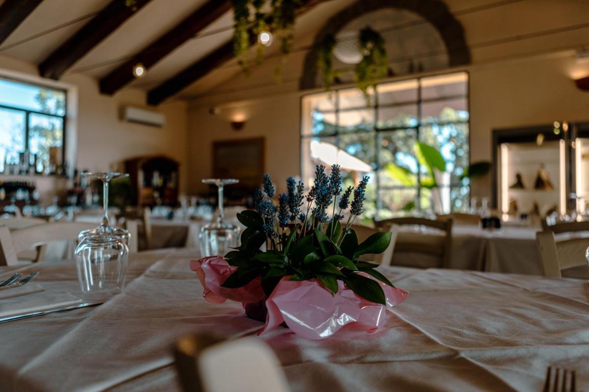 Agriturismo Cerrosughero Canino エクステリア 写真