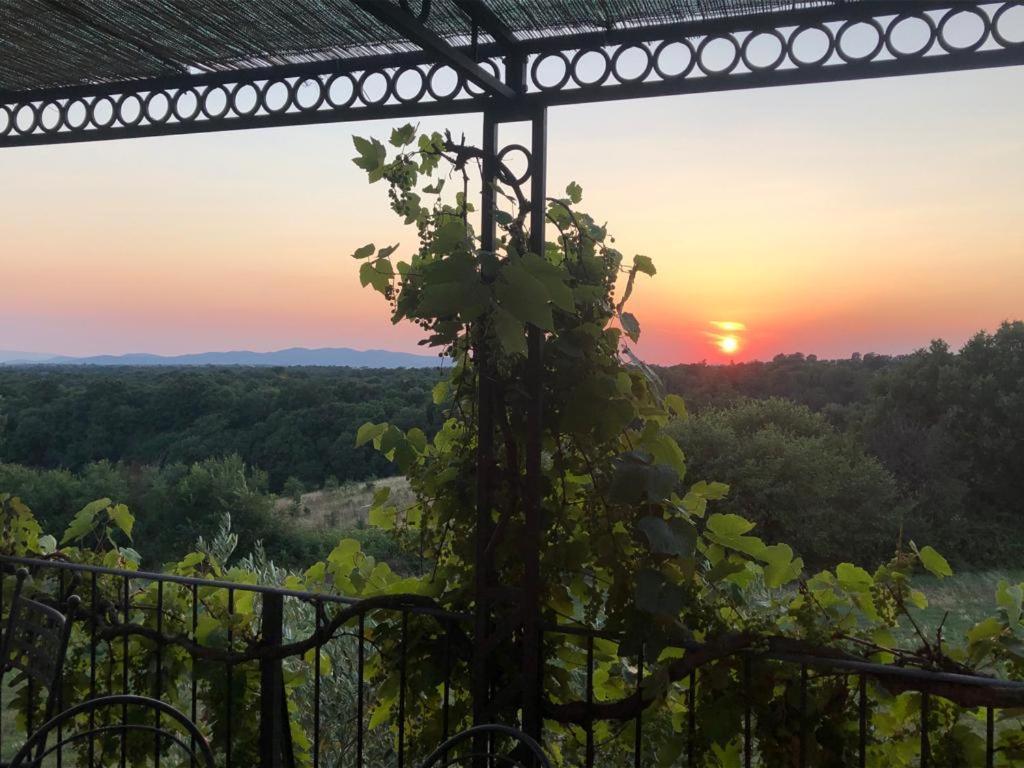 Agriturismo Cerrosughero Canino エクステリア 写真