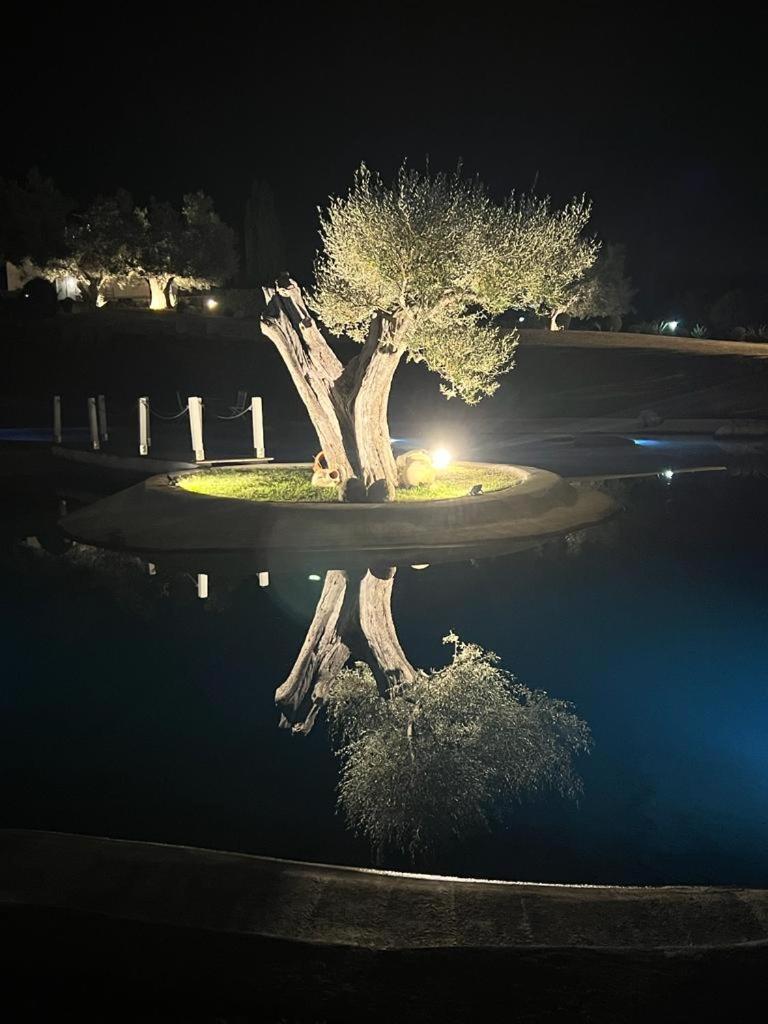 Agriturismo Cerrosughero Canino エクステリア 写真