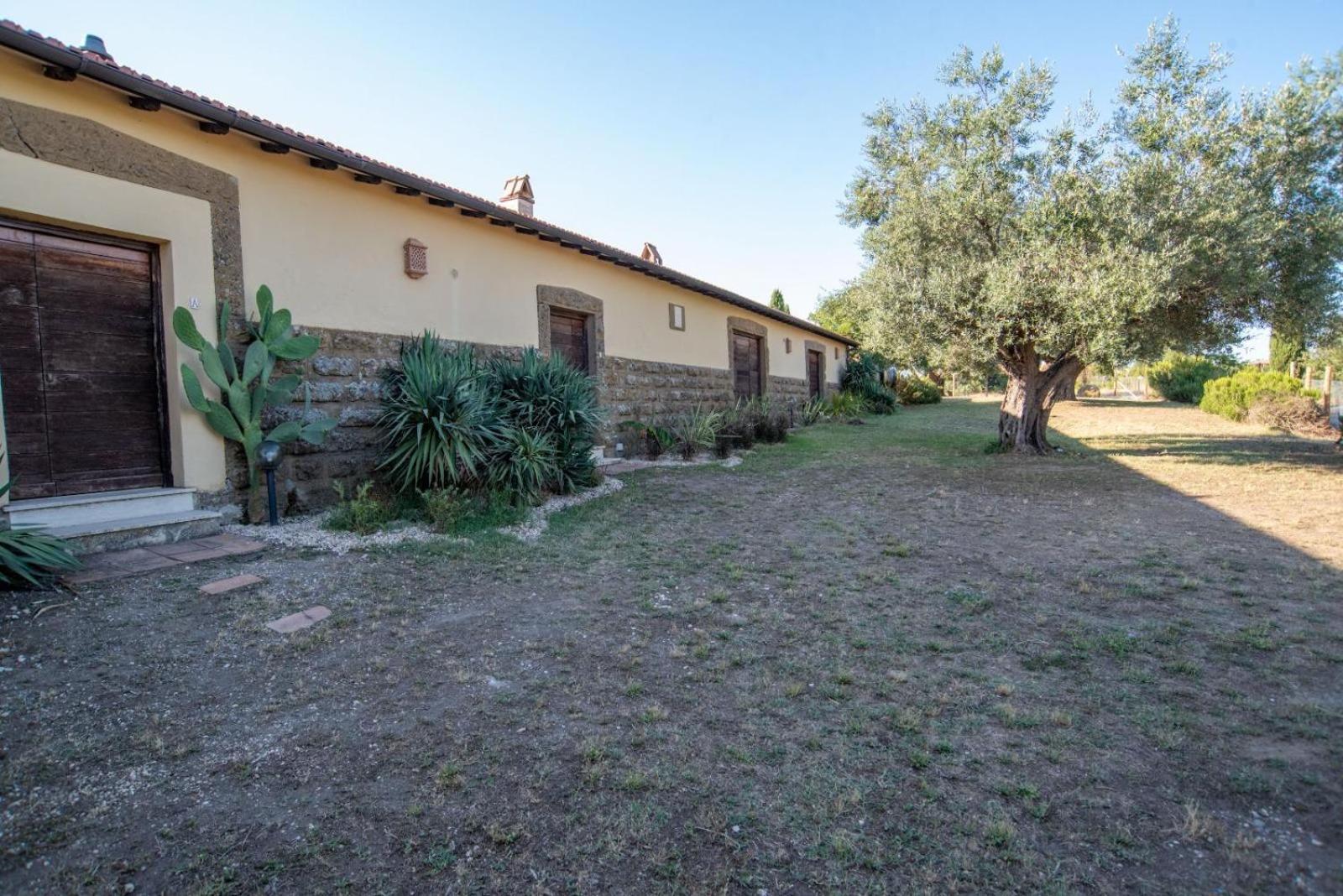 Agriturismo Cerrosughero Canino エクステリア 写真